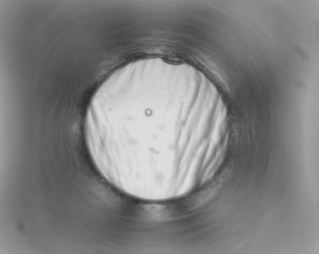 X0000115500265200911271416