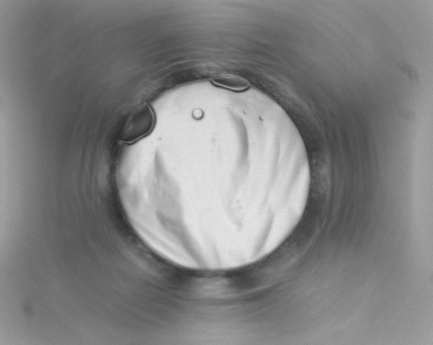 X0000115500266200911271416