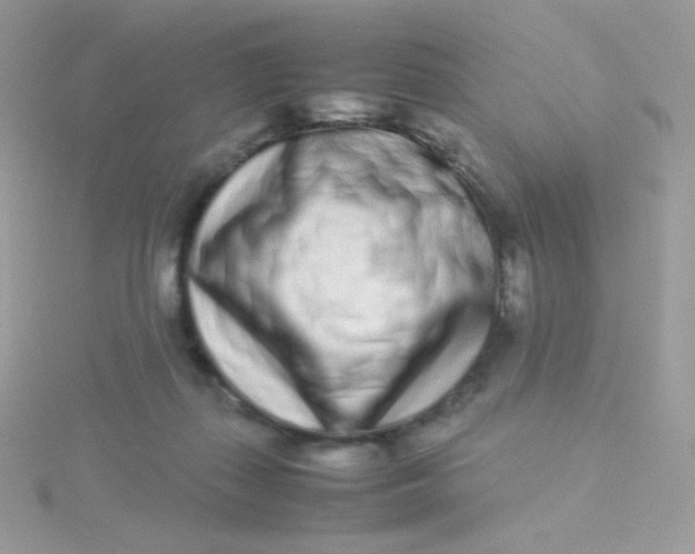 X0000115500267200911271416