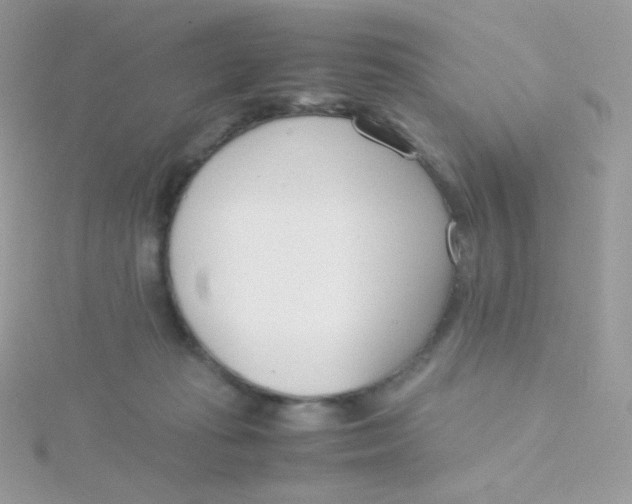 X0000115500269200911271416