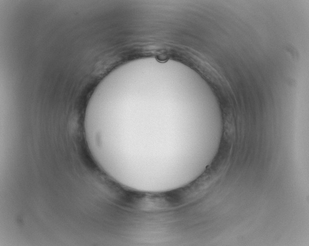 X0000115500270200911271416