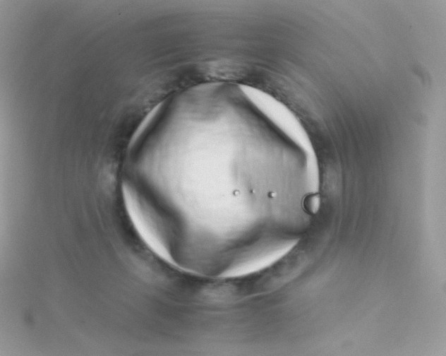 X0000115500271200911271416