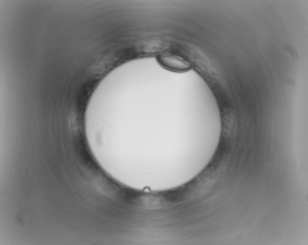 X0000115500272200911271416