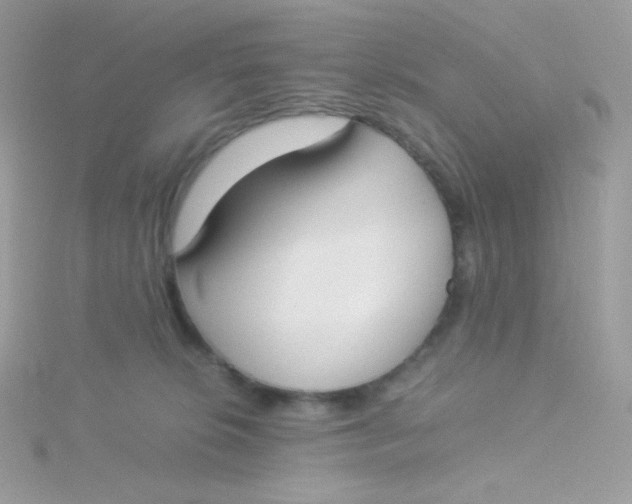 X0000115500276200911271416