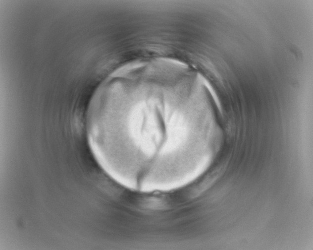 X0000115500285200911271416