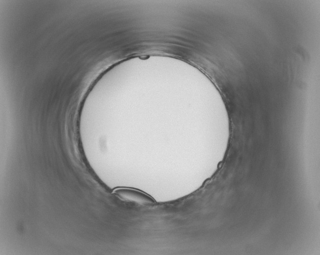 X0000115500289200911271416