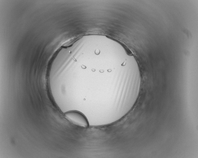 X0000115500290200911271416