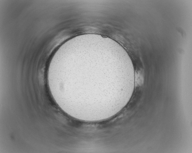 X0000115500291200911271416