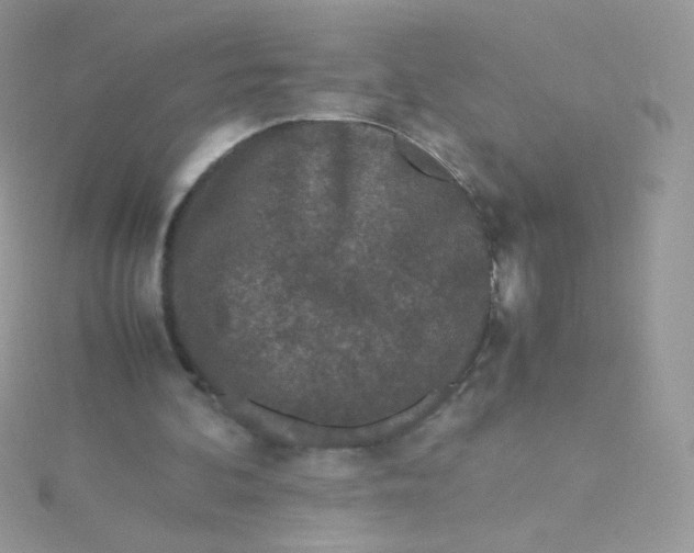 X0000115500292200911271416