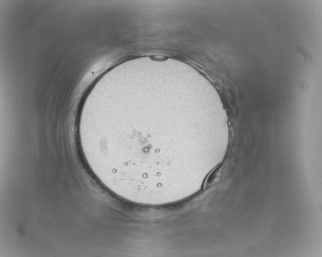 X0000115500293200911271416