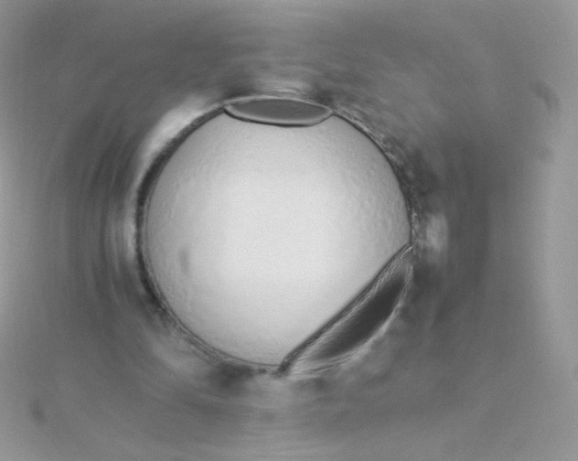 X0000115500294200911271416