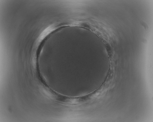 X0000115500295200911271416