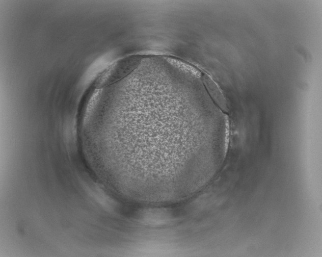 X0000115500296200911271416