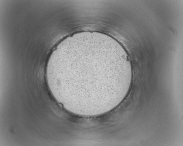 X0000115500297200911271416