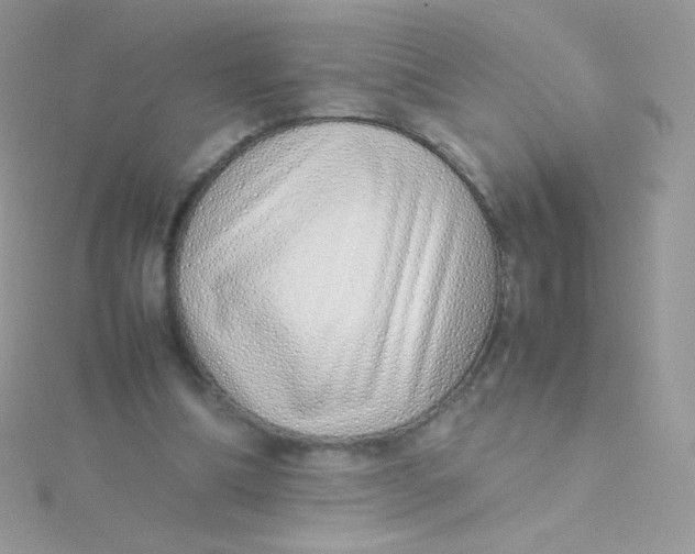 X0000115500298200911271416