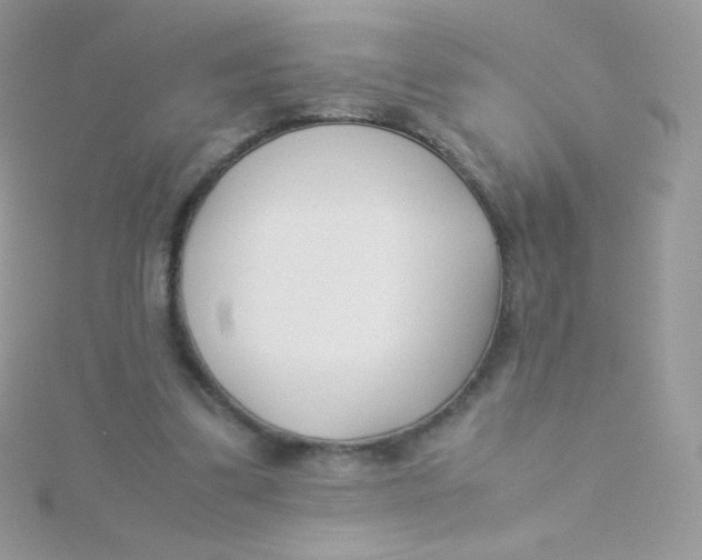 X0000115500299200911271416