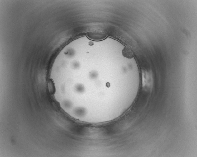 X0000115500300200911271416