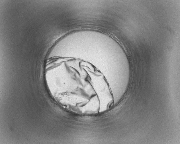 X0000115500301200911271415