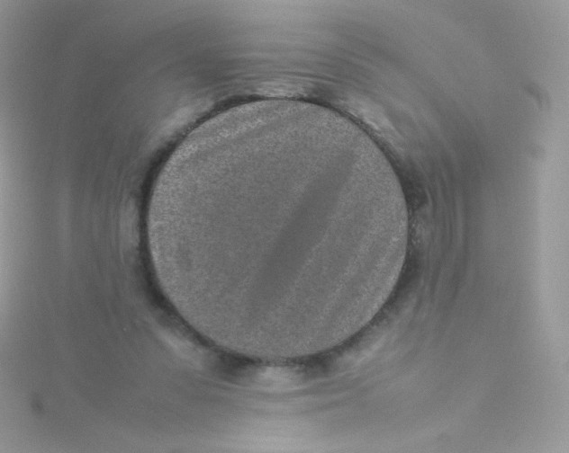 X0000115500303200911271415