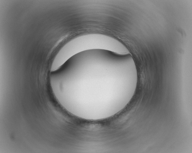 X0000115500304200911271415