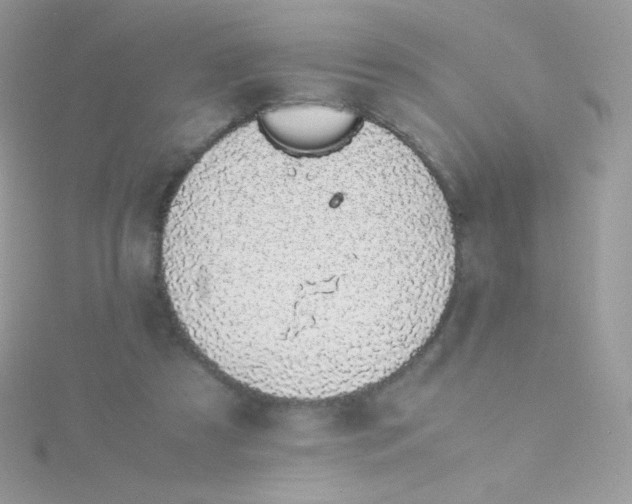 X0000115500305200911271415