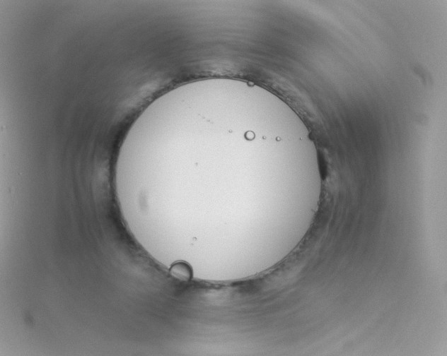 X0000115500306200911271415