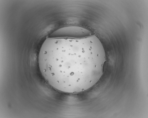 X0000115500308200911271415