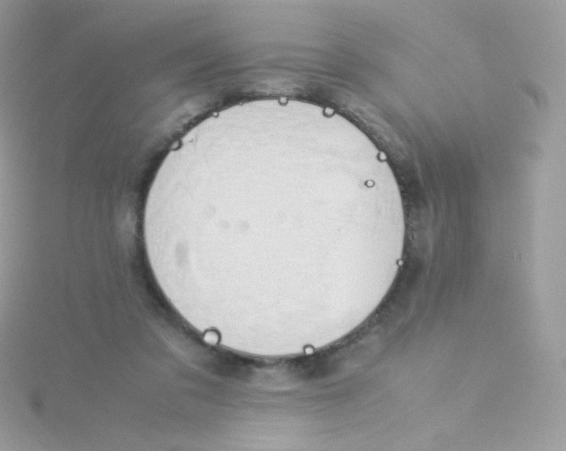 X0000115500309200911271415