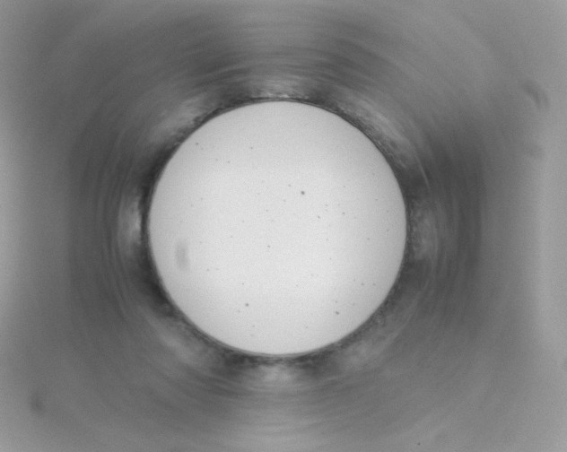 X0000115500310200911271415