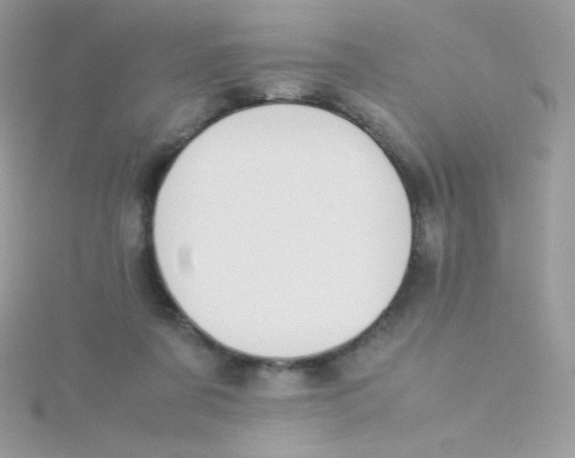 X0000115500311200911271415