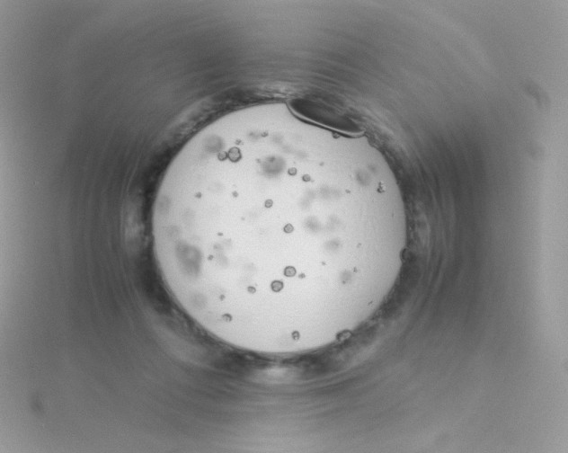 X0000115500312200911271415