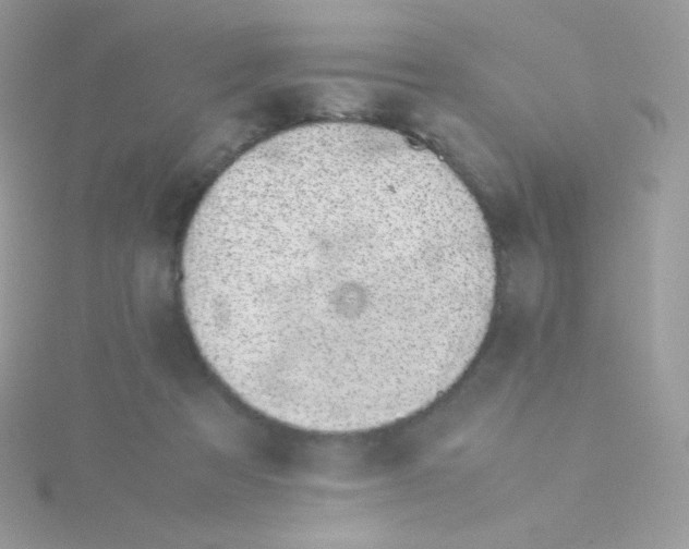 X0000115500313200911271415