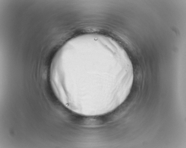 X0000115500315200911271415