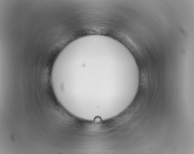 X0000115500318200911271415