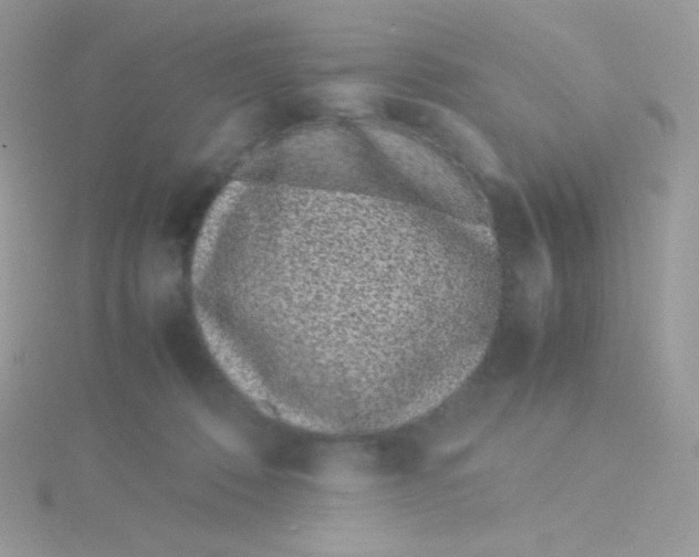 X0000115500320200911271415