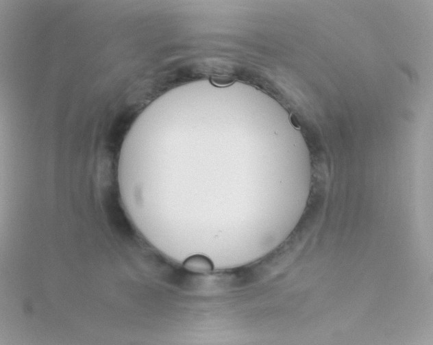 X0000115500323200911271415