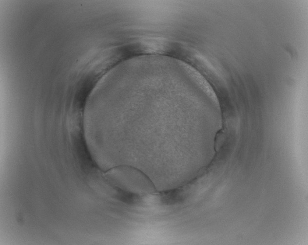 X0000115500325200911271415