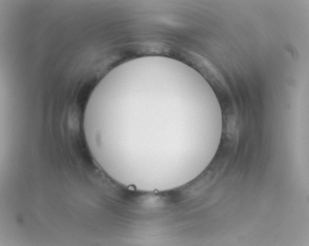 X0000115500326200911271415