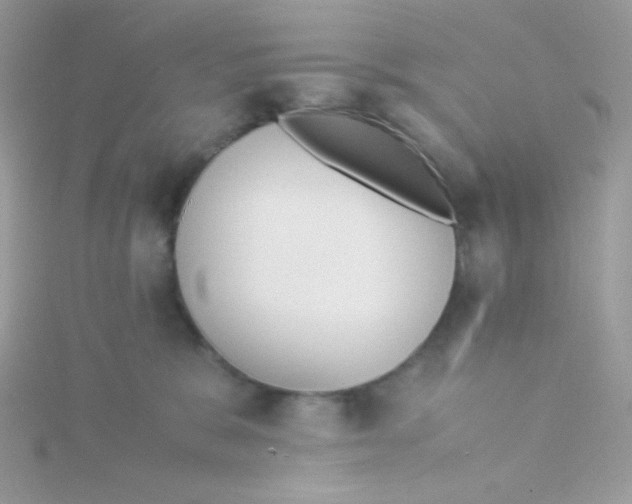 X0000115500327200911271415