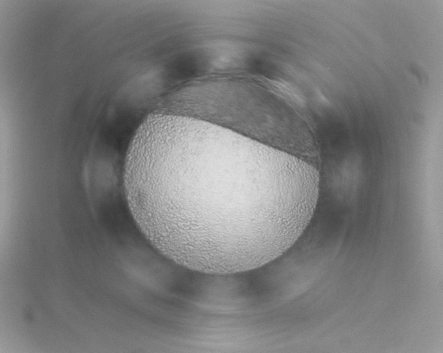 X0000115500328200911271415