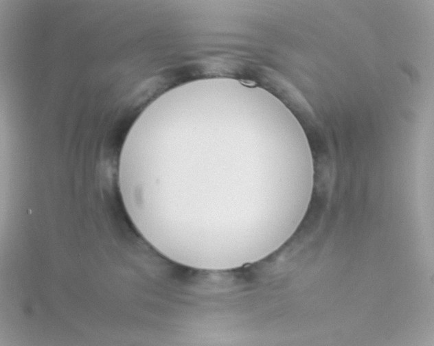 X0000115500329200911271415