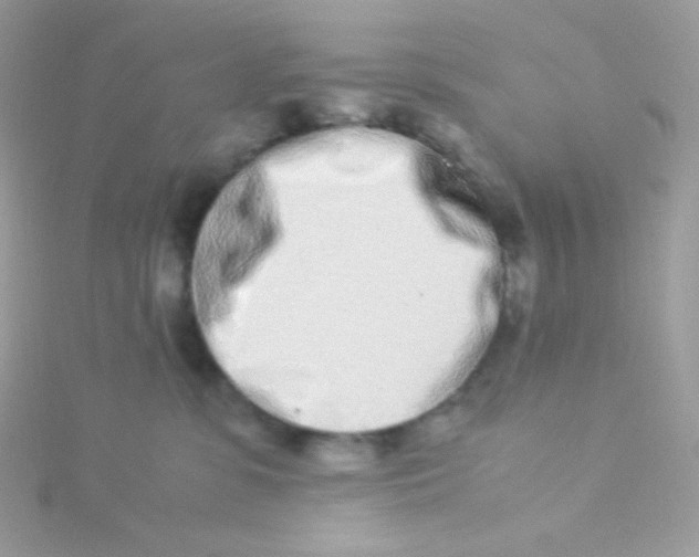 X0000115500331200911271415