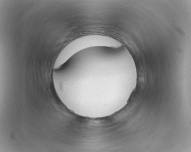 X0000115500332200911271415