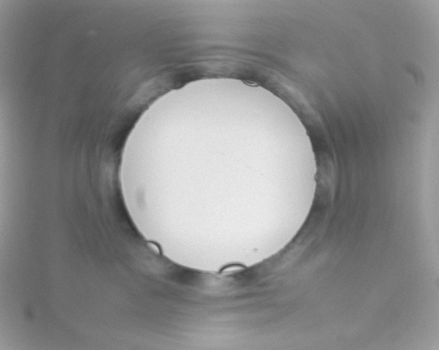 X0000115500333200911271415