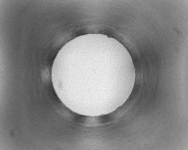 X0000115500335200911271415