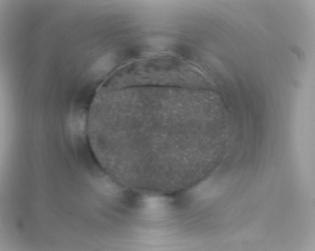 X0000115500336200911271415