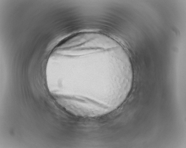 X0000115500337200911271414