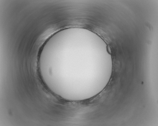 X0000115500338200911271414