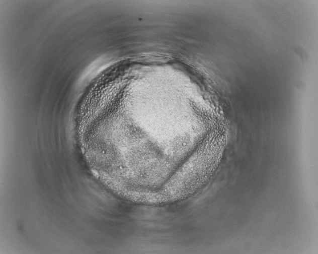 X0000115500339200911271414