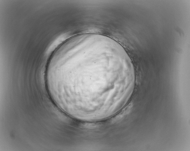 X0000115500341200911271414